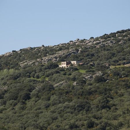 Campi Elisi B&B ซัสซารี ภายนอก รูปภาพ