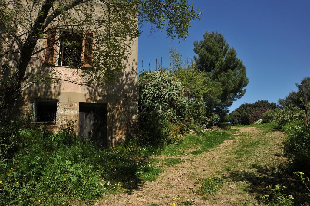 Campi Elisi B&B ซัสซารี ภายนอก รูปภาพ